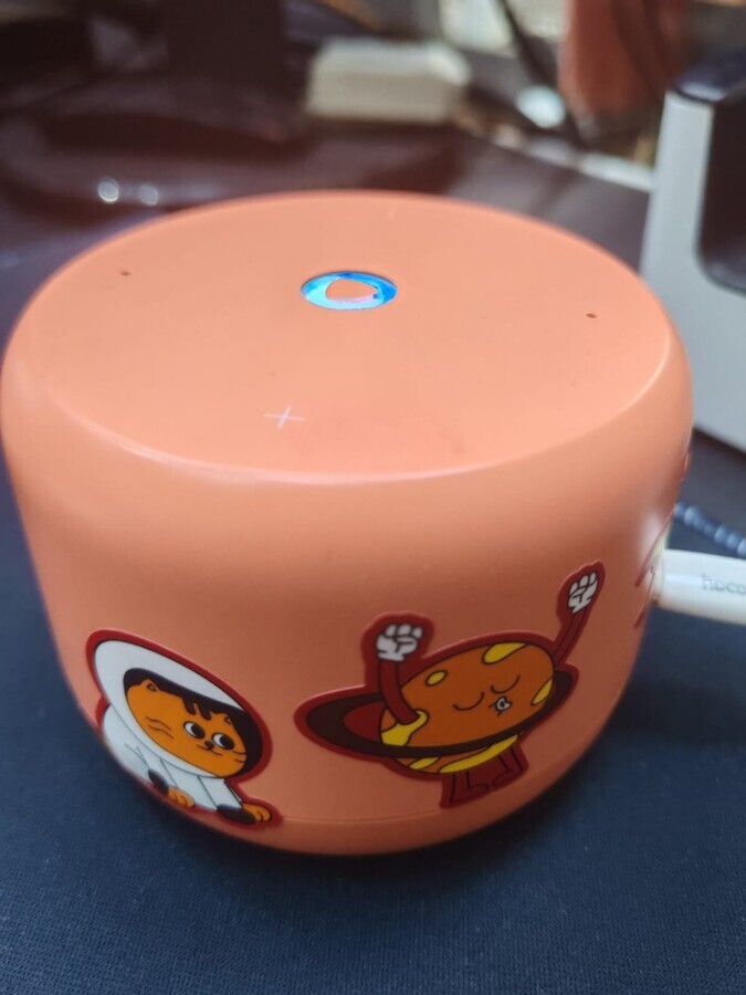 Акустика  Алиса станция лайт