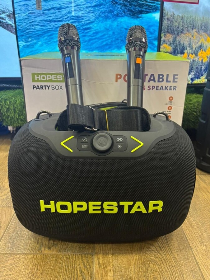 Акустика HopeStar PartyBox
