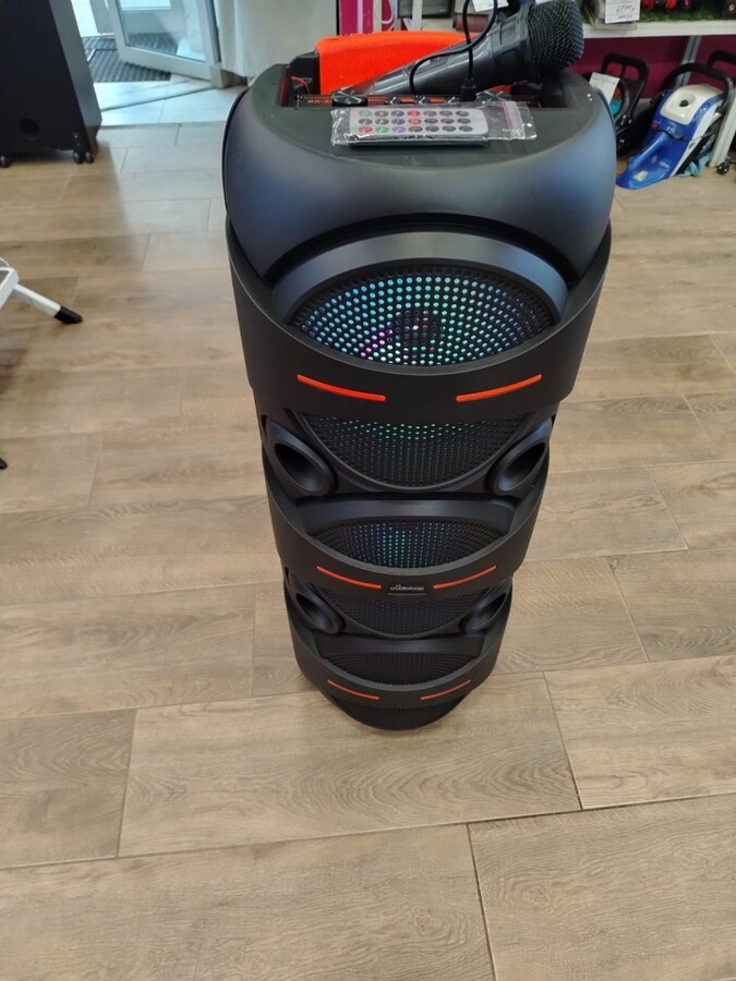 Акустика Aiwa CAS - 1001