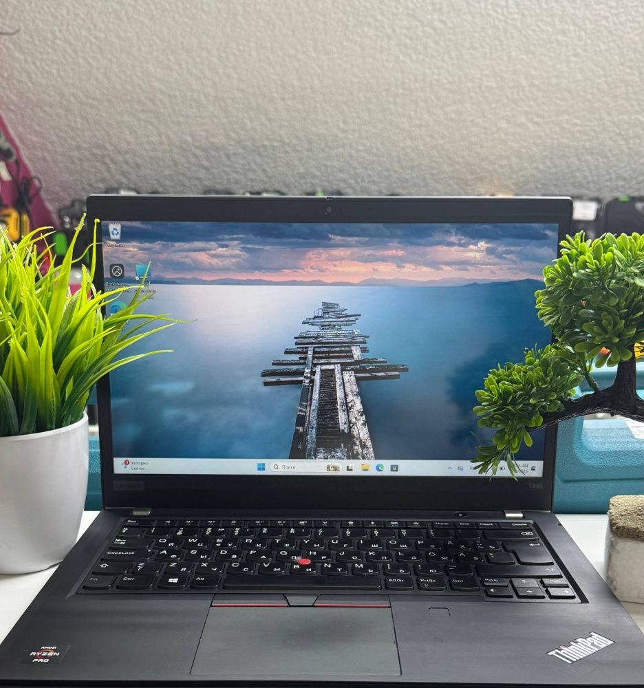 Ноутбук Lenovo Thinkpad T495