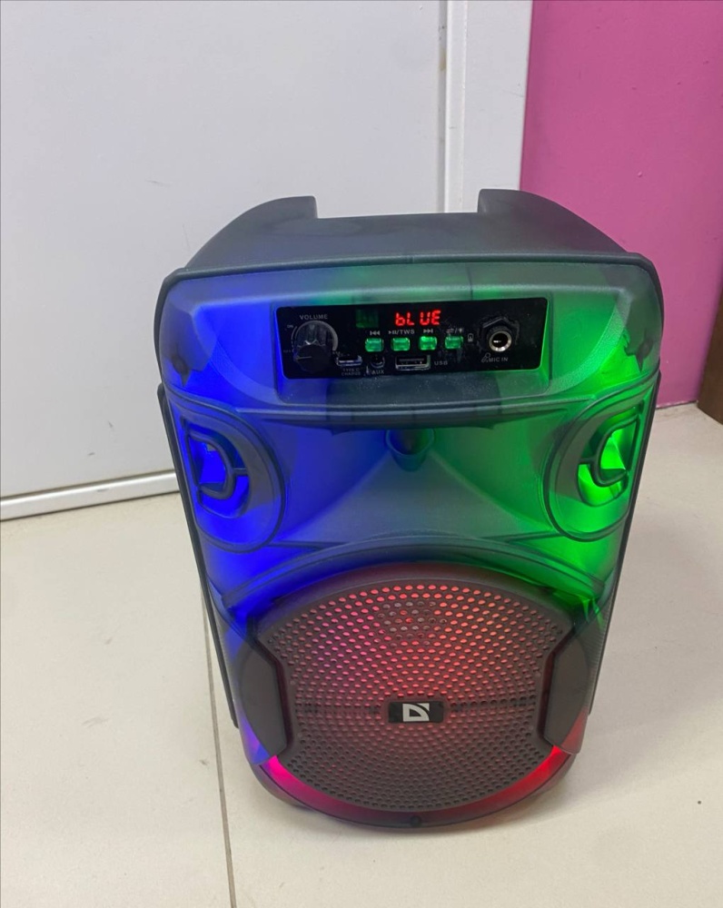 Бумбокс DEFENDER BOOTR 12