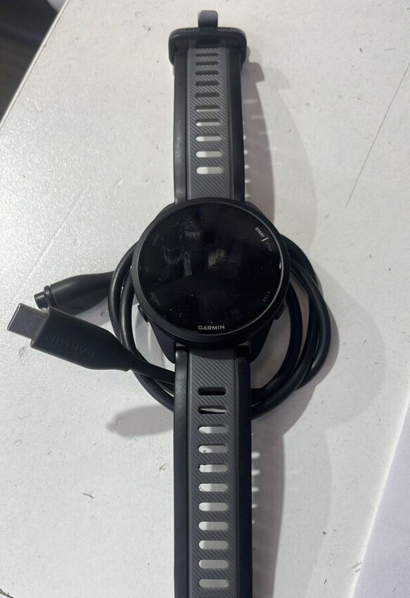 Смарт-часы Garmin forerunner165