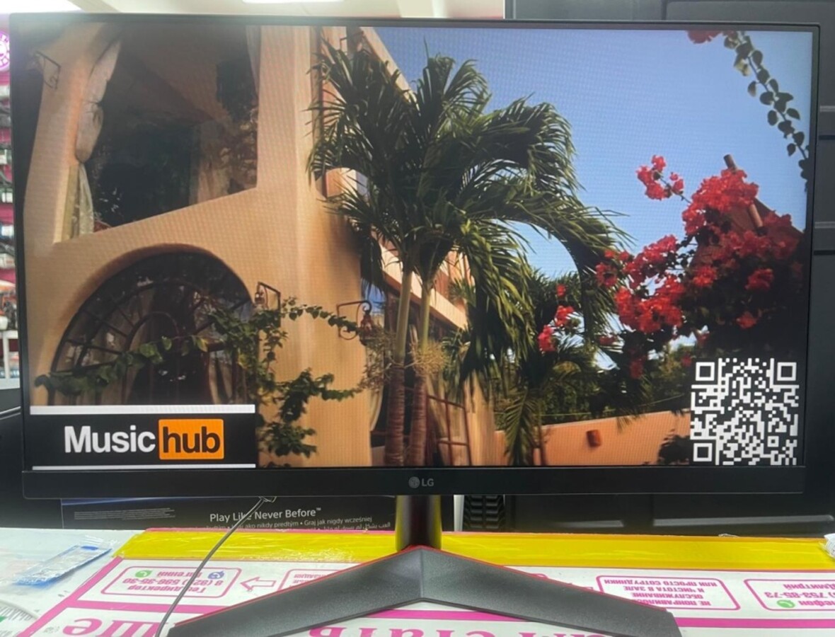 Монитор LG UltraGear 24GN600 144 GHz