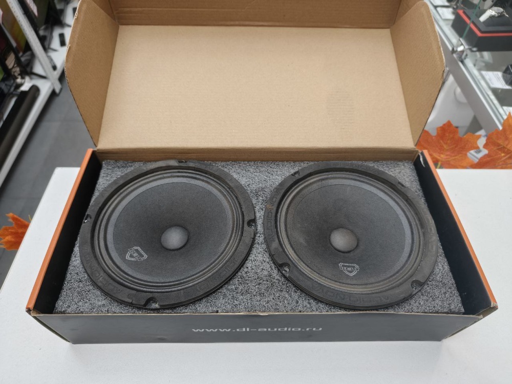 Динамики Kelt 16H