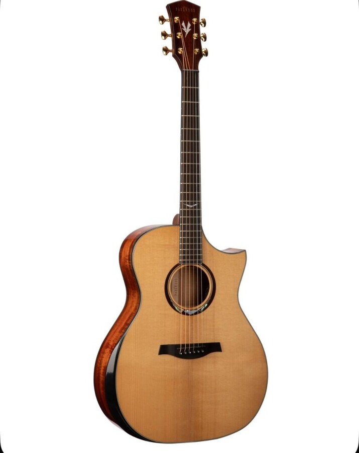 гитара PARKWOOD GA 980 ADK